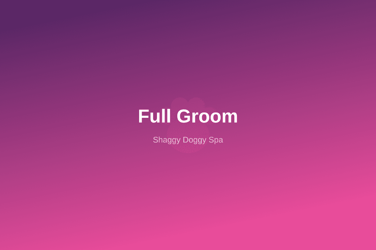 Full Groom