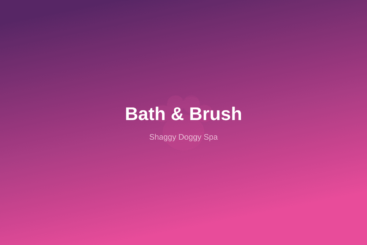 Bath & Brush