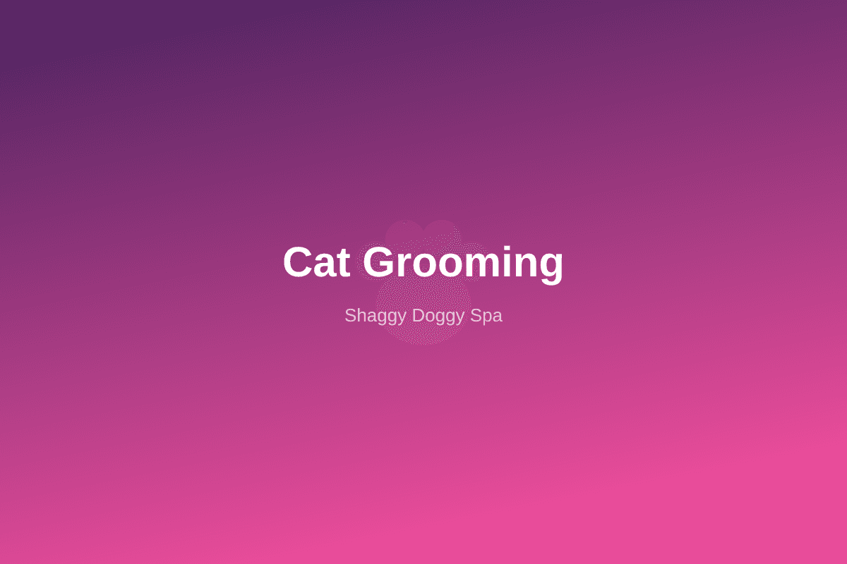 Cat Grooming