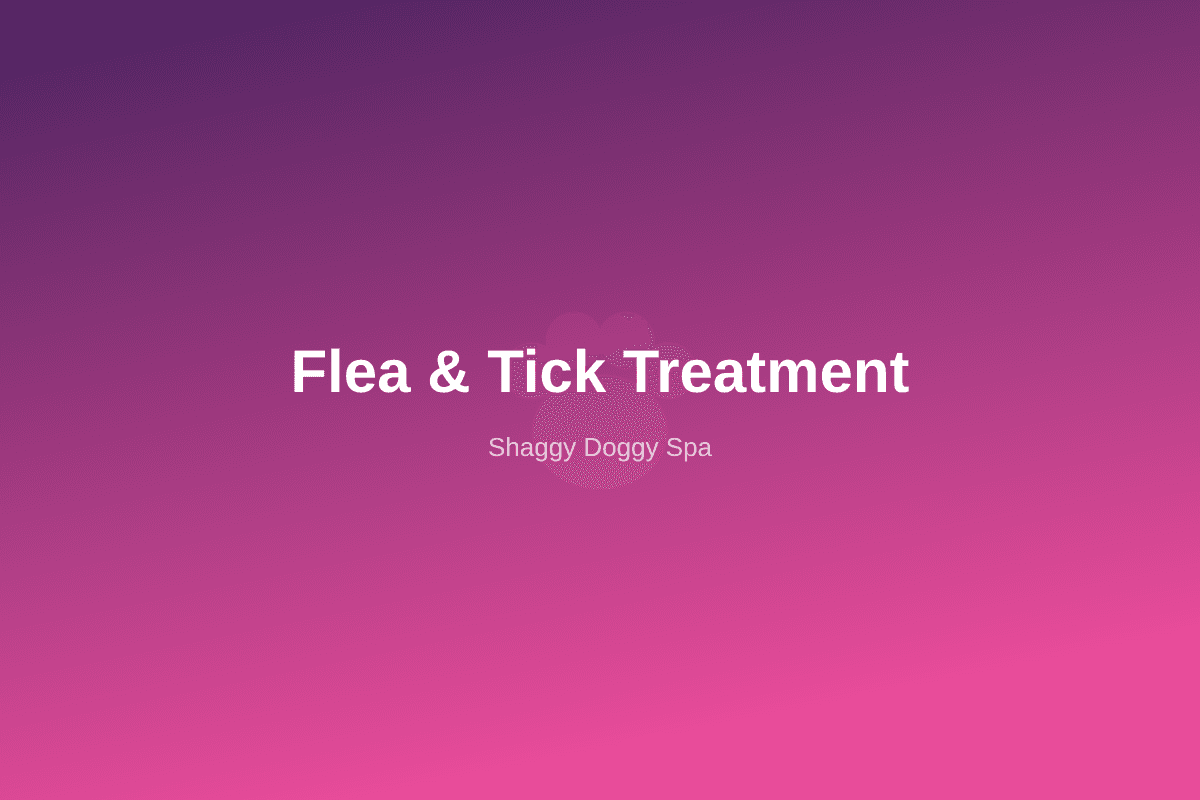 Flea & Tick Treatment