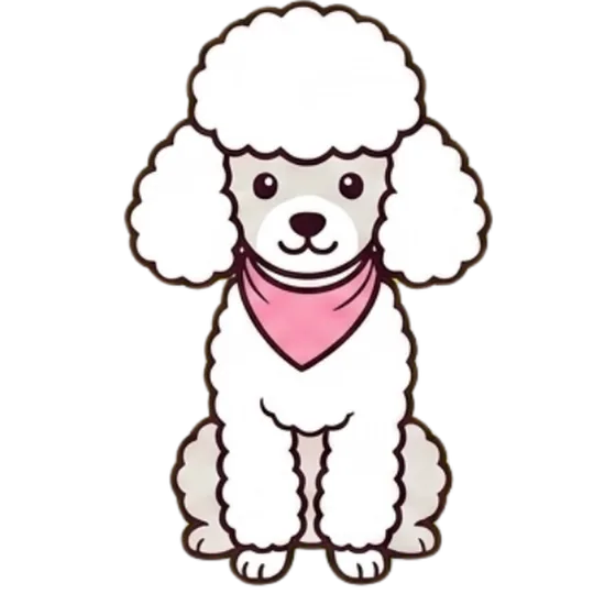 Poodle